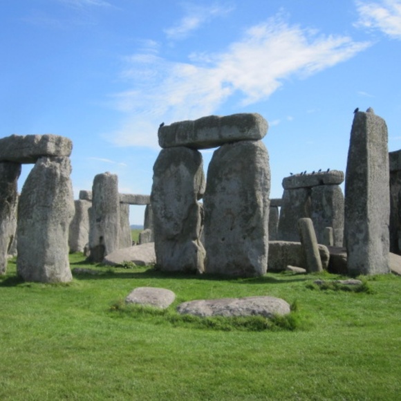 Meet your Posher, Brady - Picture 1 of 2